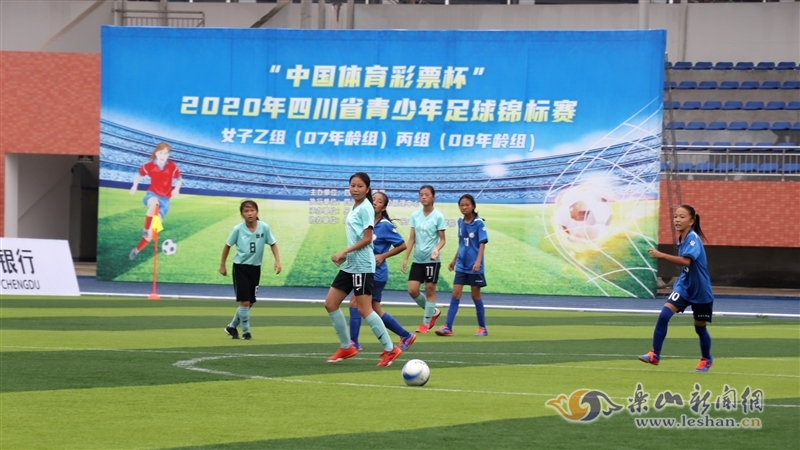 在这五项